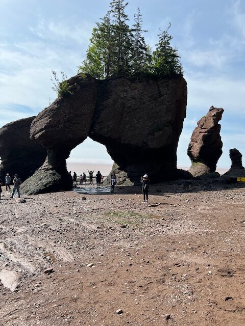 hopewell rocks provincial park, new brunswick, go anyway solo adventure course heather deveaux creative