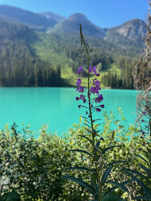 emerald lake, alberta, go anyway solo adventure course, heather deveaux creative