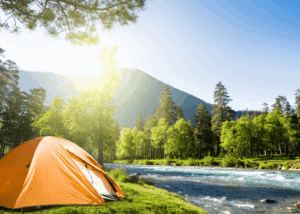 camping in provincial and national parks, heather deveaux creative