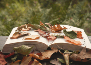 shift the narrative of your life by heather deveaux creative