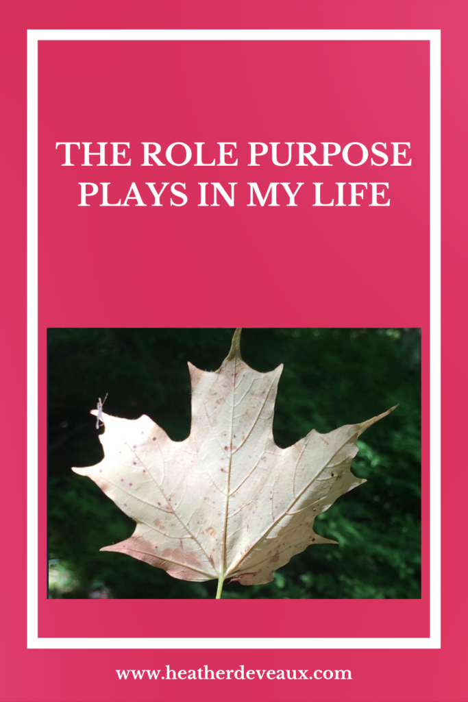 purpose, heather deveaux creative, find your purpose
