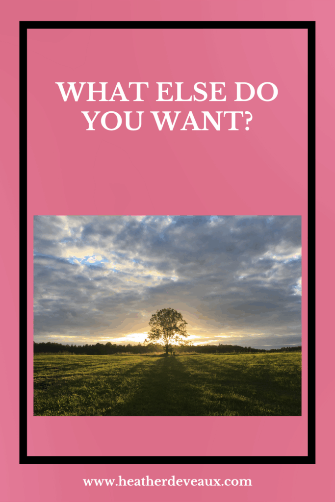 A tree sits in the middle of a field with the sun shining behind it and through its branches. The sky is cloud covered. A pink background with the words, what else do you want? appear toward the top in white. A black border surrounds everything.