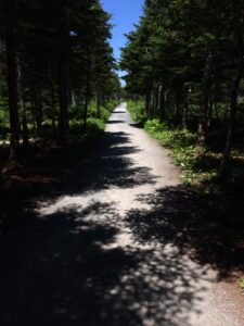 what else do you want?