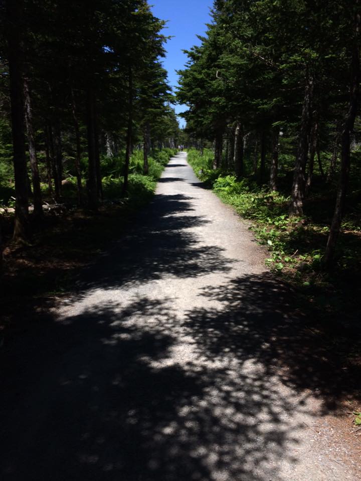 what else do you want?